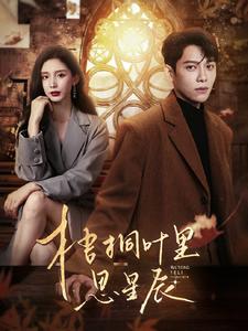 梧桐叶里思星辰海报