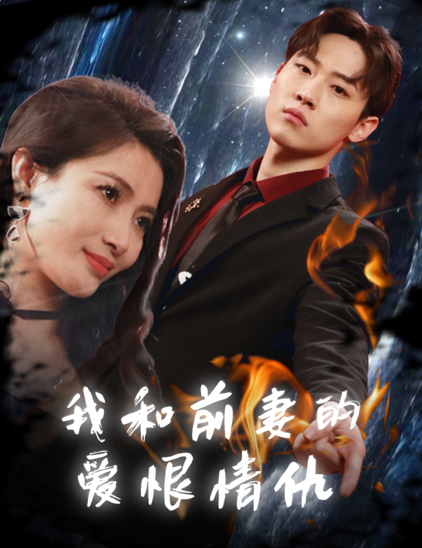 我和前妻的爱恨情仇海报