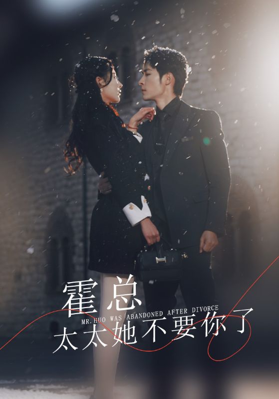 霍总，太太她不要你了海报