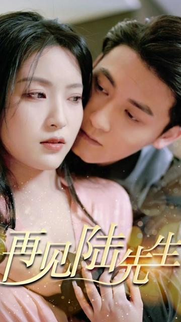 再见陆先生海报