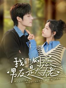 我的网恋男友是大佬海报
