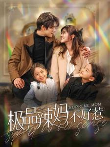 极品辣妈不好惹海报