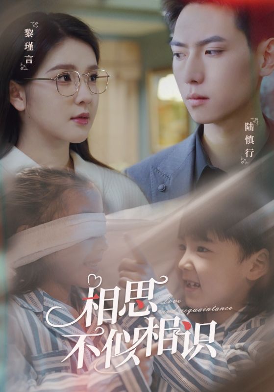 相思不似相识海报