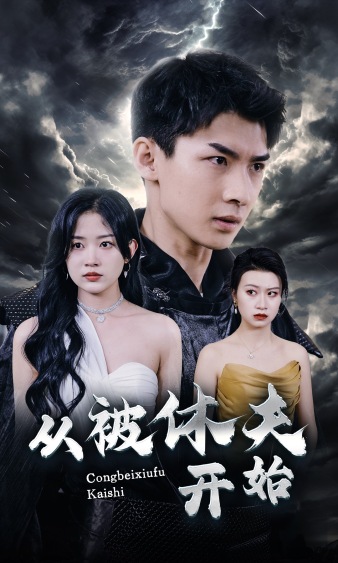 从被休夫开始海报