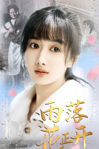 雨落花正开海报