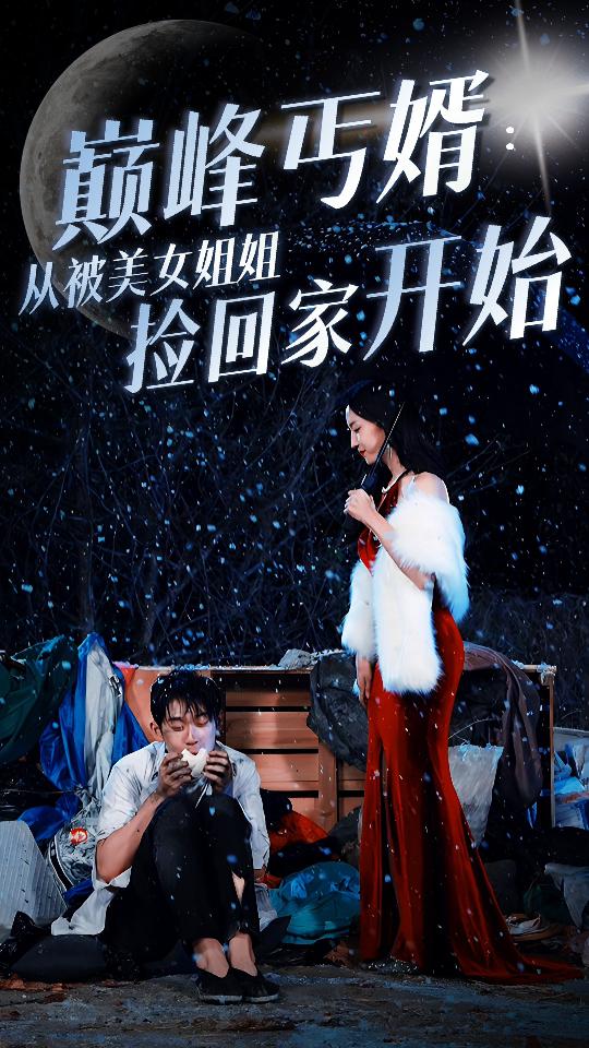 巅峰丐婿：从被美女姐姐捡回家开始海报