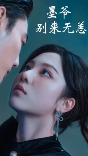墨爷别来无恙海报