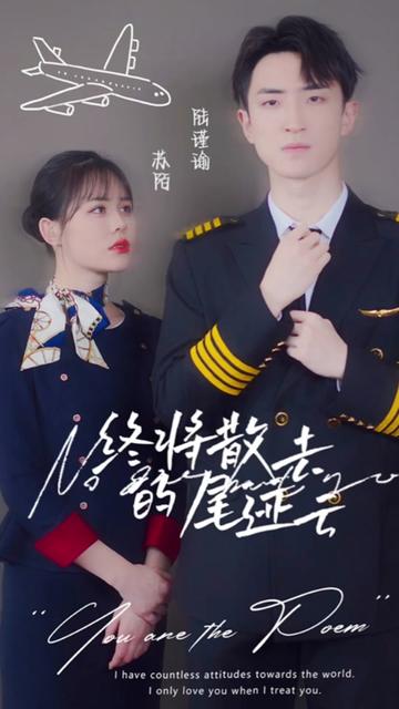 终将散去的尾迹云海报