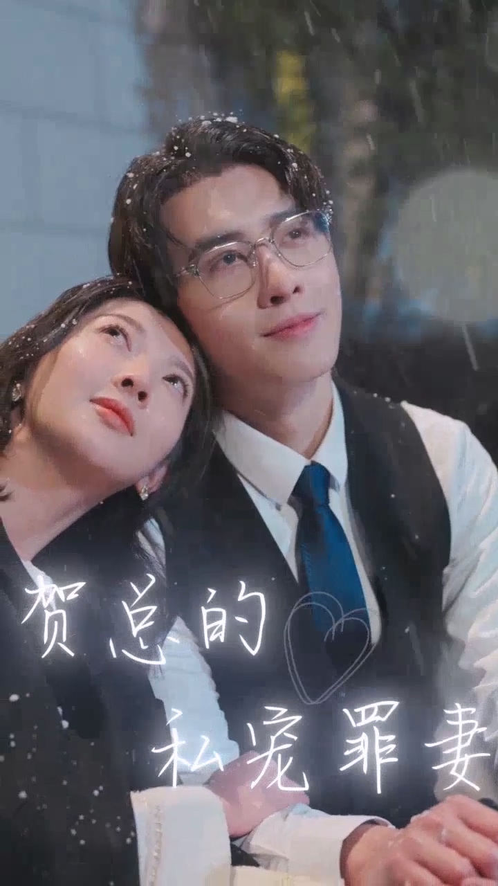 贺总的私宠罪妻海报