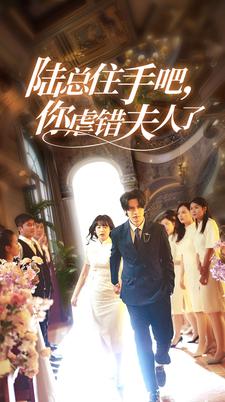 陆总住手吧，你虐错夫人了海报