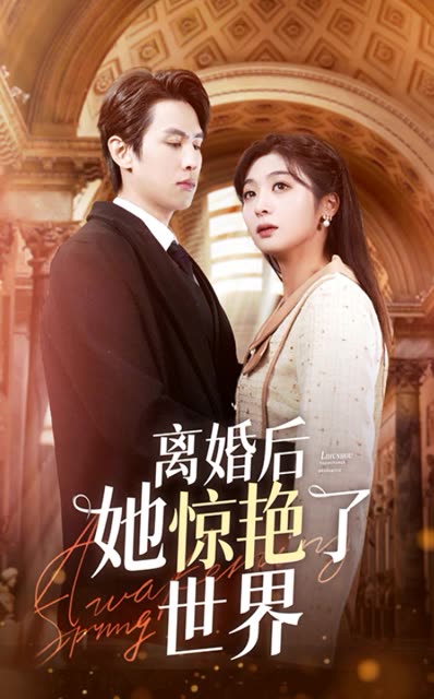 离婚后她惊艳了世界海报