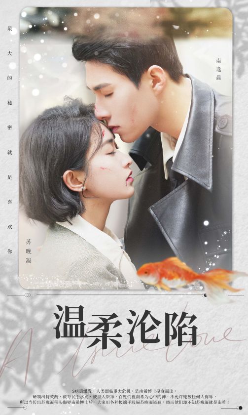 温柔沦陷海报