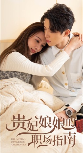 贵妃娘娘的职场指南海报