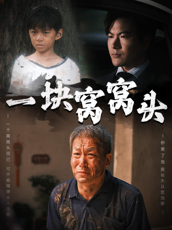 一块窝窝头儿子患癌以后海报