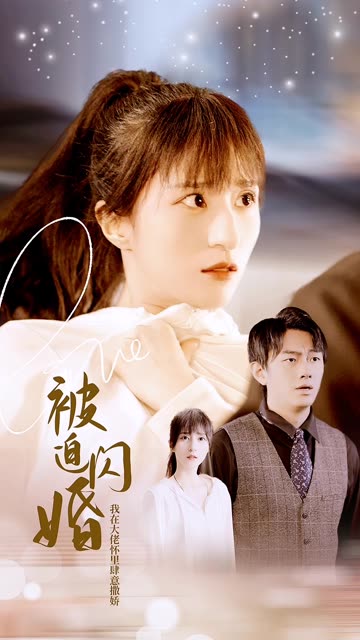 被迫闪婚，我在大佬怀里肆意撒娇海报