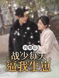 闪婚后战少每天逼我生崽海报