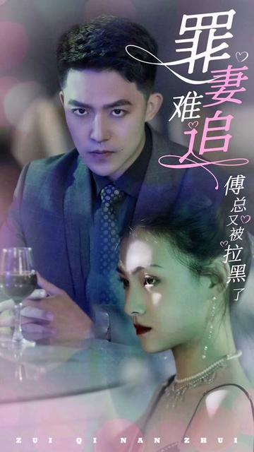 罪妻难追傅总又被拉黑了海报