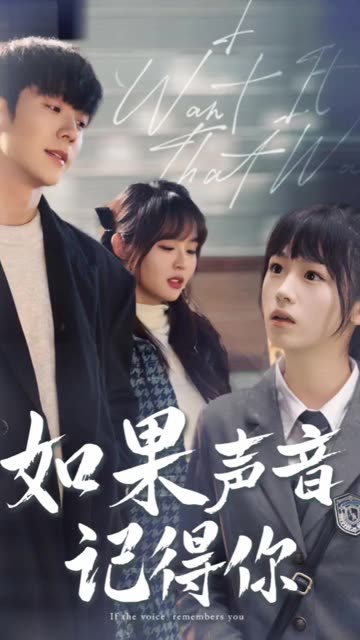 如果声音记得你海报
