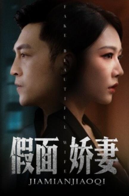 假面娇妻娇妻的谎言海报