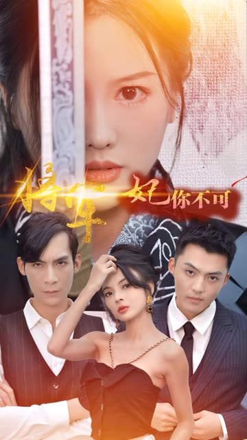 将军妃你不可海报