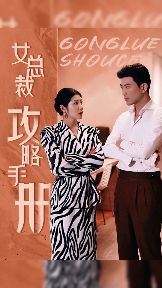 女总裁攻略手册海报