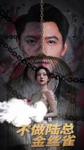 掌中玩物，不做陆总金丝雀海报