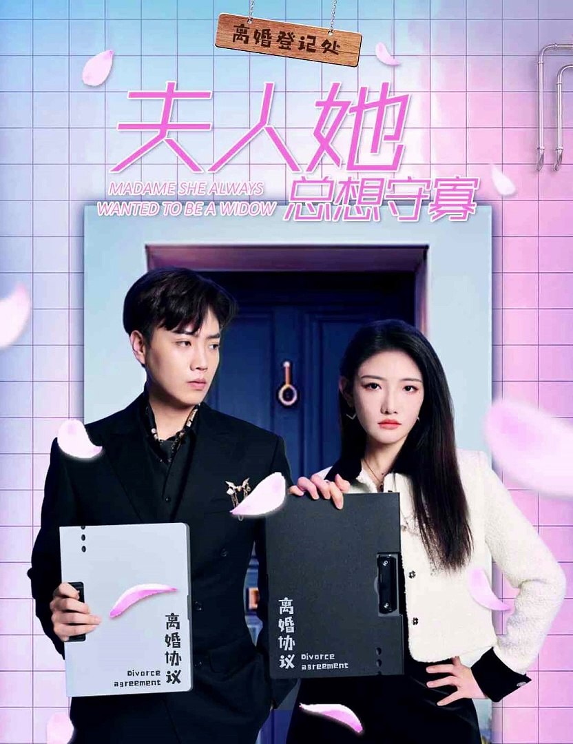 夫人她总想守寡海报