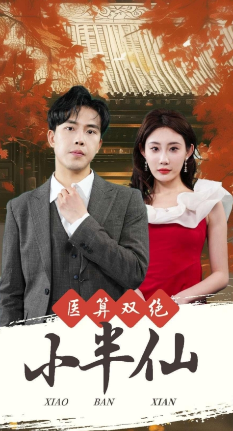 医算双绝小半仙神医妙算小半仙海报