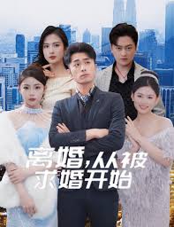 离婚从被求婚开始海报