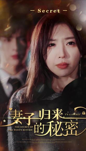 妻子归来的秘密海报