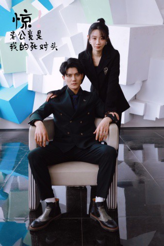 惊！老公竟是我的死对头海报
