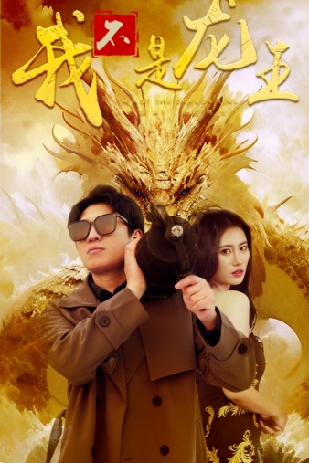 我不是龙王海报