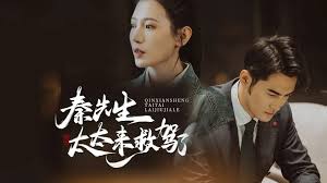 秦先生，太太来救驾了海报