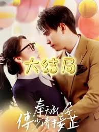 奉天承孕：傅少请接芷海报