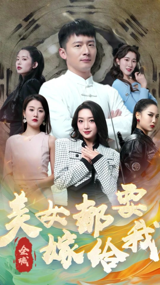 全城美女都要嫁给我海报