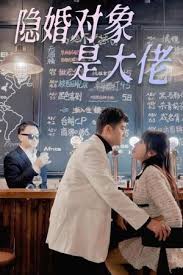 隐婚对象是大佬海报