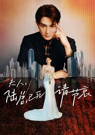 夫人，陆总已死请节哀海报