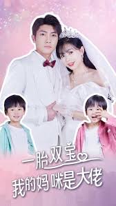 一胎双宝，我的妈咪是大佬海报