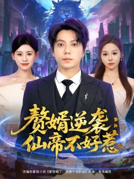 赘婿逆袭：仙帝不好惹海报