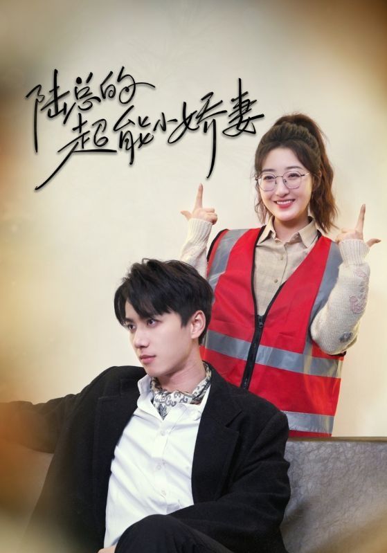 陆总的超能小娇妻海报