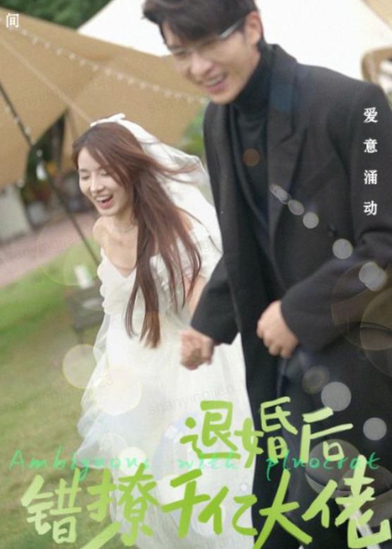 退婚后，错撩千亿大佬海报