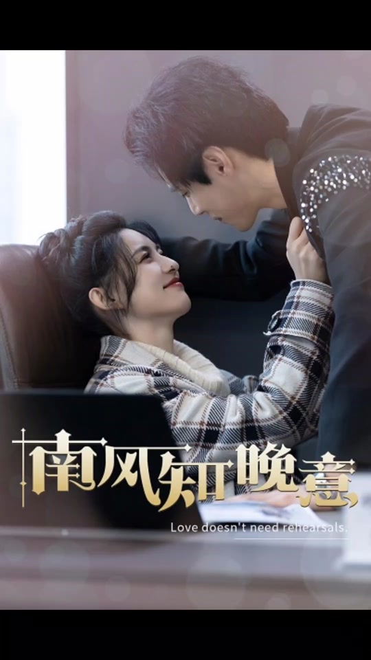 南风知晚意海报