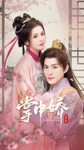 掌中娇94集海报