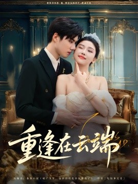 重逢在云端海报