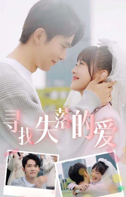 寻找失落的爱海报