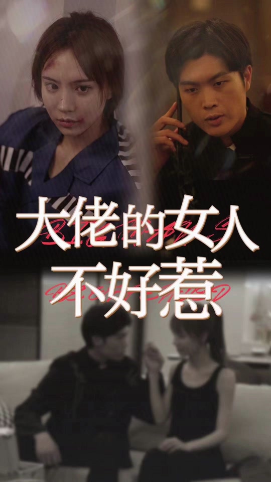 大佬女人不好惹海报