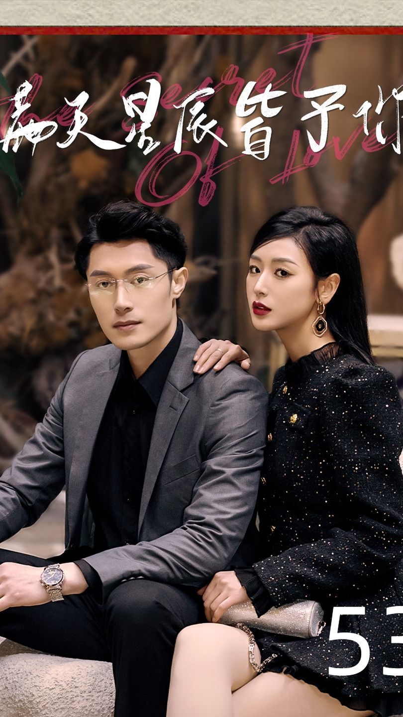 满天星辰皆于你海报