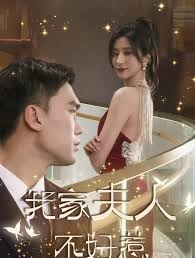 我家夫人不好惹海报