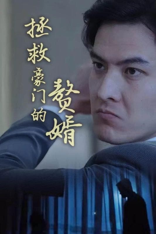 拯救豪门的赘婿海报