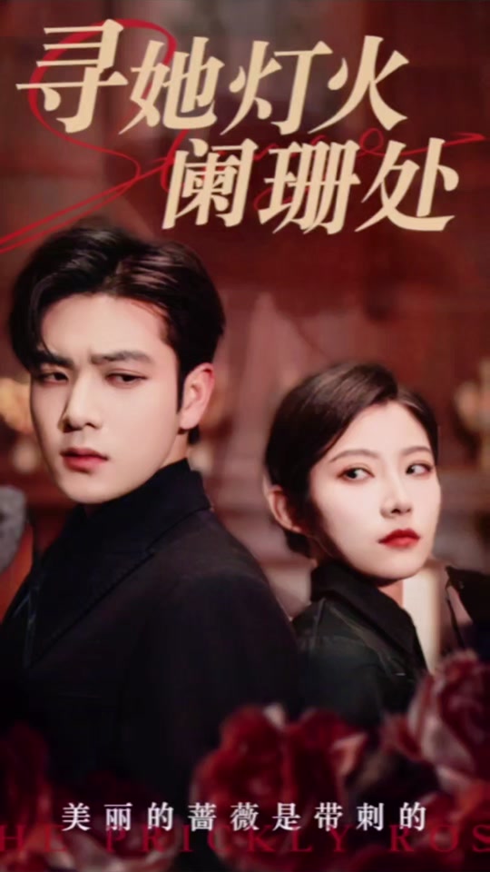 寻她灯火阑珊处海报